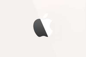 These stories were bigger than the iPhone in 2024
